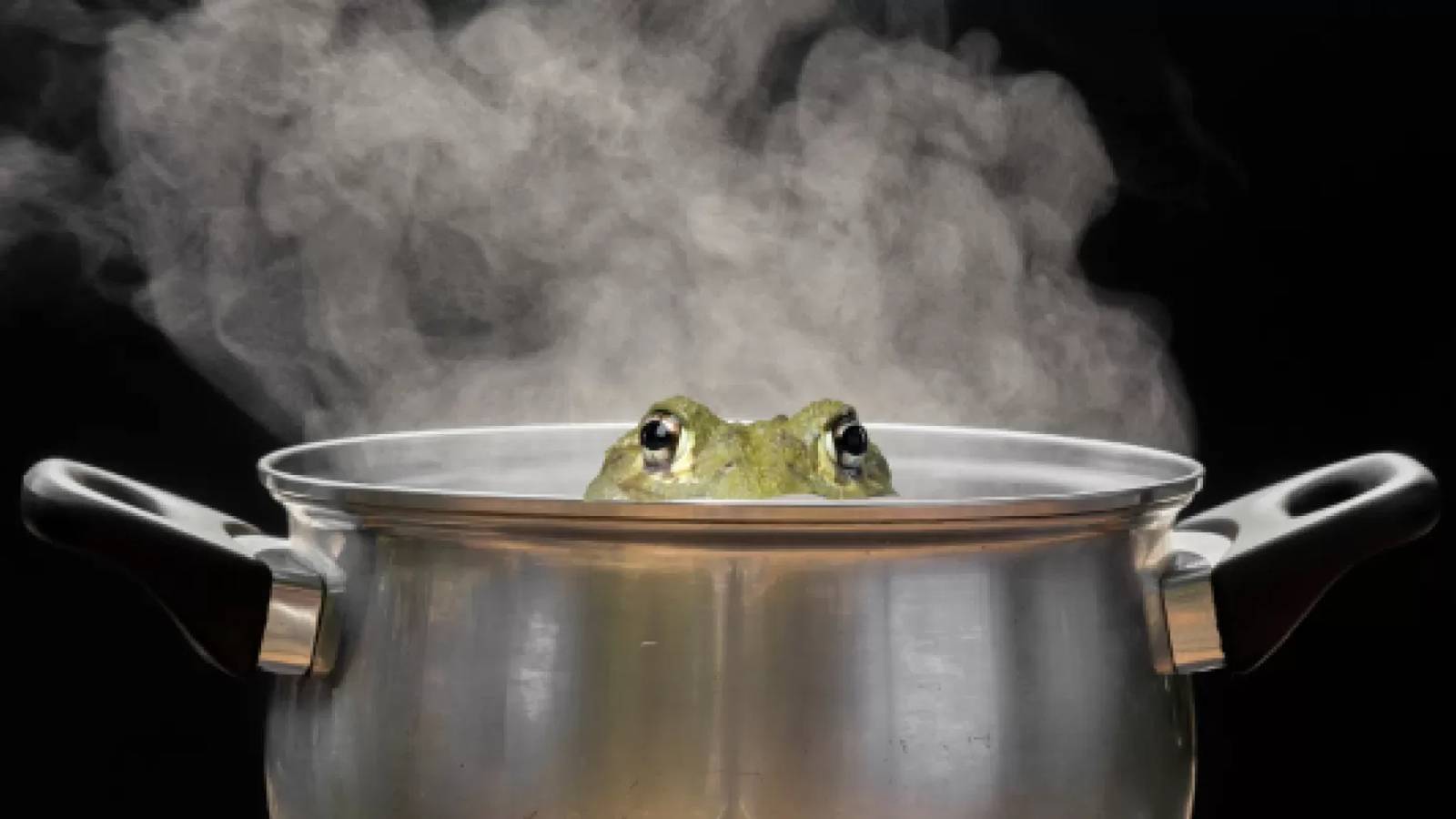 The boiling frog