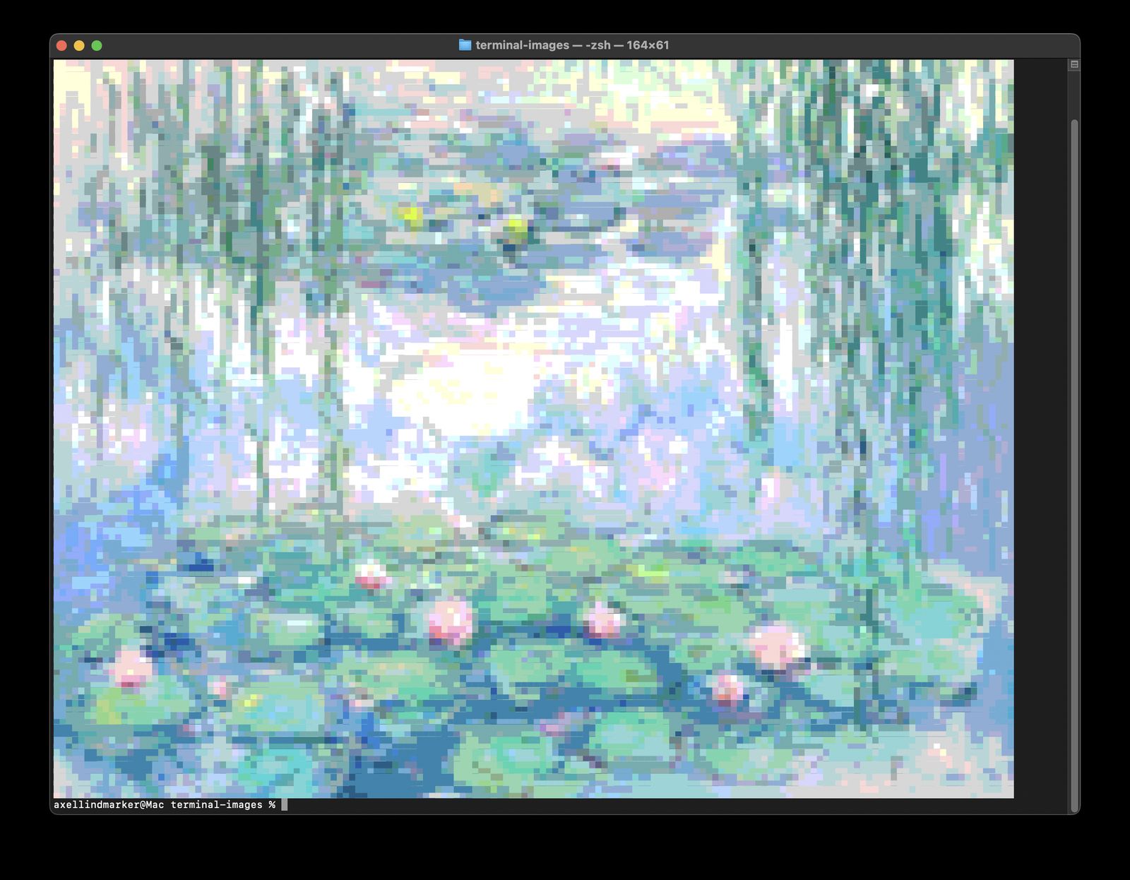 Monet's Water Lilies rendered in the terminal using colored block characters